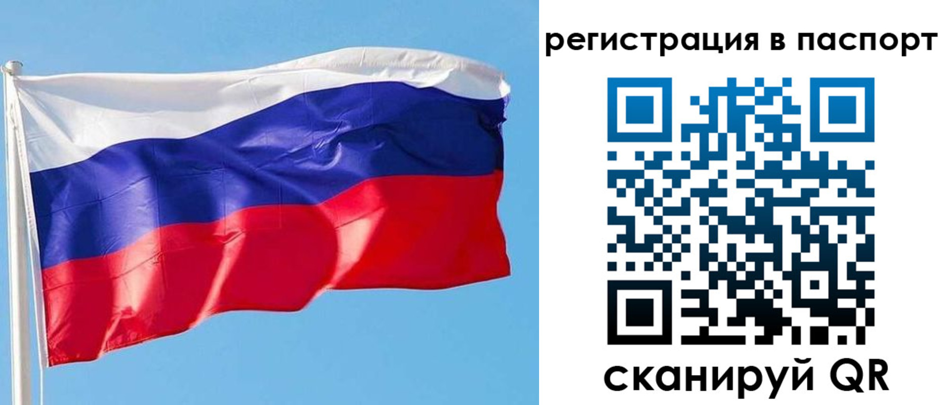 прописка законно в Тогучине